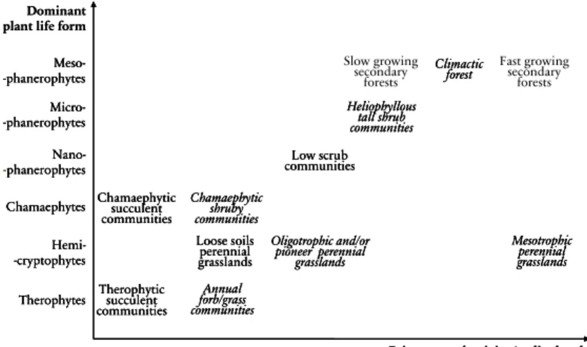 Figura 14 – Modelo teórico do processo de sucessão ecológica, com base numa  tipologia ecofisionómica de comunidades vegetais (Aguiar, inéd.) 