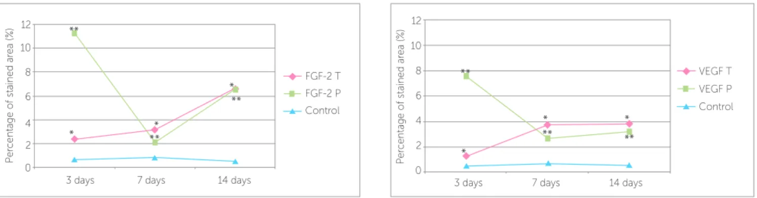 Table 1 - Percentage of FGF-2 and VEGF stained areas (%) on tension and pressure sides of the three experimental groups.