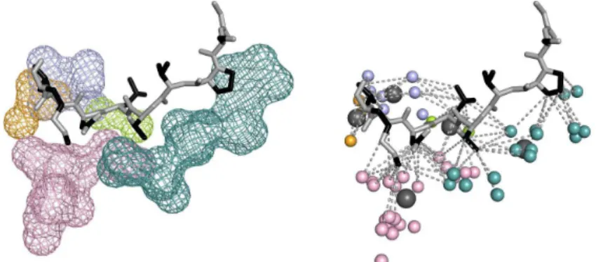 Figure 3 - Hydrophobic interactions between protease Subtilisin-like and inhibitor Eglin C