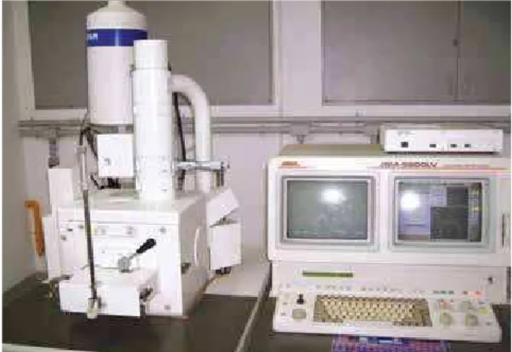 Figure 1 - Scanning electronic microscope used with EDS system of micro- micro-analysis.