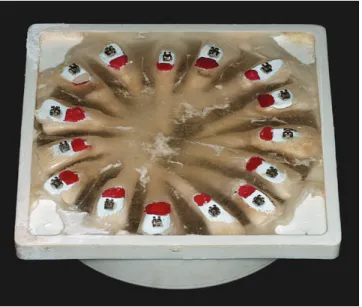 Figure 1 - Test specimen used in this study.