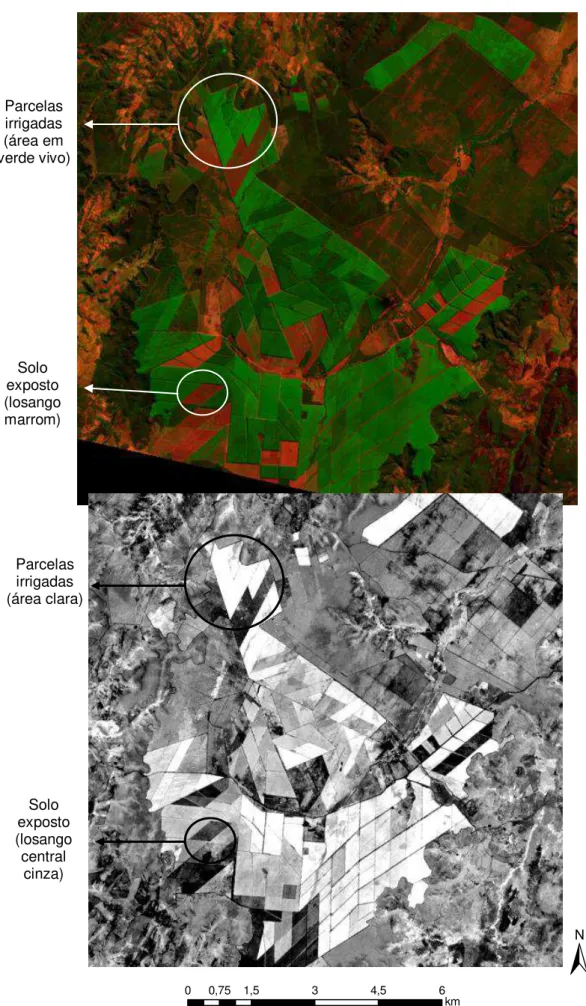 FIGURA 7: Áreas irrigadas no alto curso do rio Riachão (imagem Landsat 8, de julho de 2013, RGB das  bandas 6, 5 e 2 e mosaico multitemporal NDVI)
