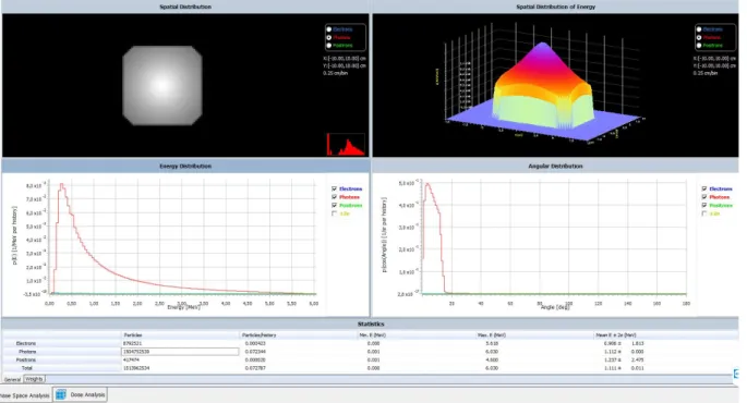 Fig. 4.2. PRIMO analysis of the Phase Space used as source for the 6MV Flatness Filter Free (FFF) beam.