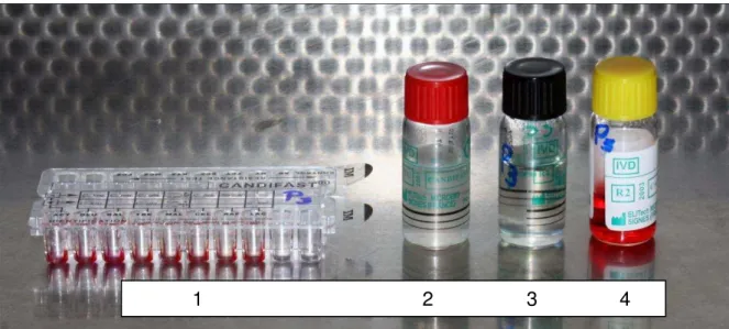 Figura 2: Componentes do Kit Candifast®: Bandeja de  Identificação e Teste de Resistência  (1); Frasco de Controle de Turbidez (2); Frasco de Diluição/Identificação (3), Frasco de Teste  de Resistência (4)