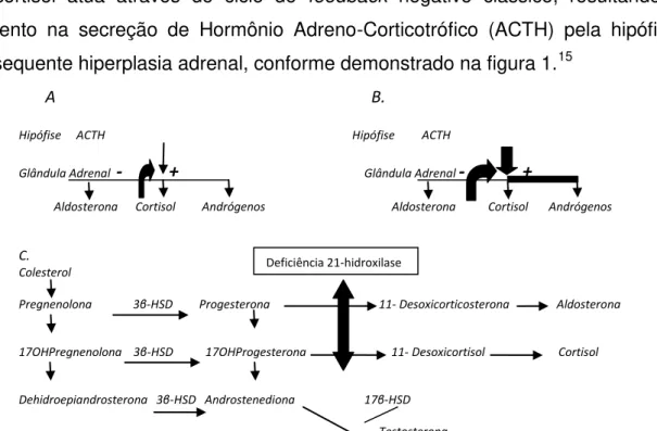 FIGURA  1  -  Esteroidogênese  em  pacientes  com  HAC  devido  à  deficiência  da  21- 21-hidroxilase
