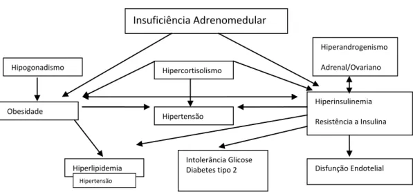 FIGURA 2 - Associações metabólicas em pacientes com HAC clássica. 3   