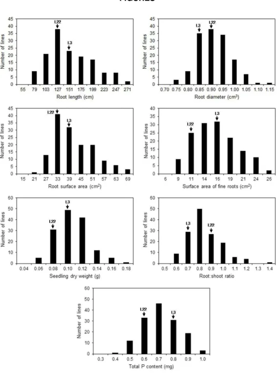Figure 1 Frequency distribution of traits evaluated in 145 maize RILs grown in low-P  (2.5  µM)