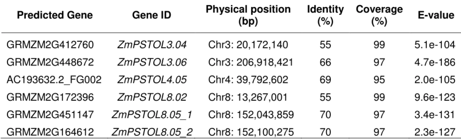 Table 6 Maize candidate genes sharing more than 55% amino acid sequence identity  to OsPSTOL1 