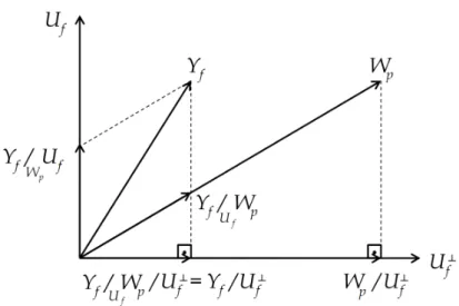 Figura 3.2: Interpretação da projeção oblíqua de dados em um espaço de dimensão j = 2.