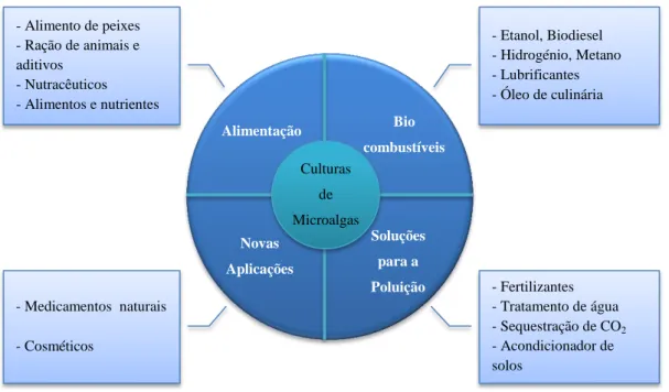 Figura 10 - Aplicações industriais das microalgas (21) 