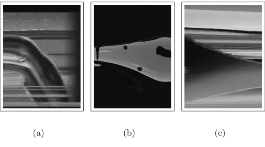 Figure 4.8: Example of deformed regions present in the visual rhythm: (a) shifted region (pan); (b) expanded region (zoom-in); and (c) funneled region (zoom-out).