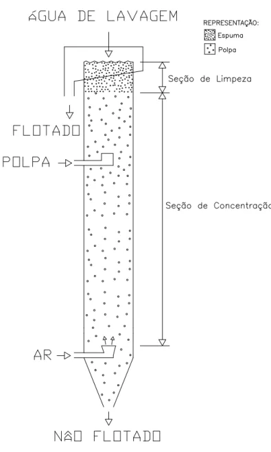 Figura 2.1: Representação esquemática de uma coluna de flotação.