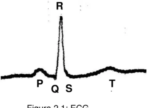 Figura 2.1: ECG 
