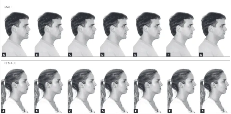 Figure 3 - Modified photographs randomly distributed.