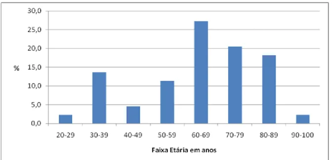 GRÁFICO 1  – Distribuição percentual dos pacientes por faixa etária, Belo Horizonte/MG, 2008-2009