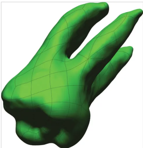 Figure 2. Example of elements and bonds of a  molar. The bonds connect the elements to each  other and are located in their extremities.