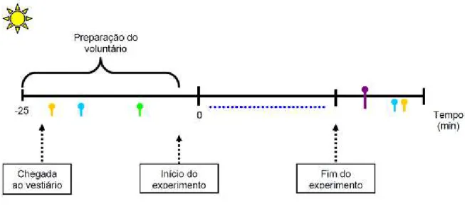 FIGURA 3 – Desenho experimental 