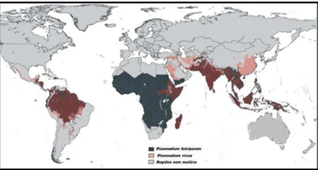 Figura 1. Distribuição mundial de Plasmodium vivax e Plasmodium falciparum. Fonte: WHO, 2012