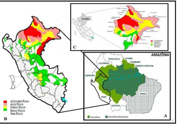 Figura  9.  Mapa  de  Incidência  da  malária  no  Peru,  em  2015  (B  e  C)  e  mapa  da  Floresta  Amazônica  (A)