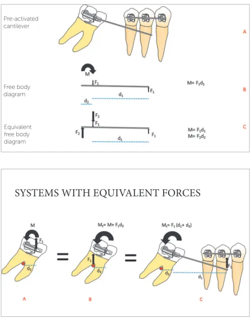 Figure 2 - Systems with equivalent forces on the  molar, considering it: Isolated, in the tube (A) or  in the center of resistance (B); or considering the  molar and the cantilever as the same body (C)