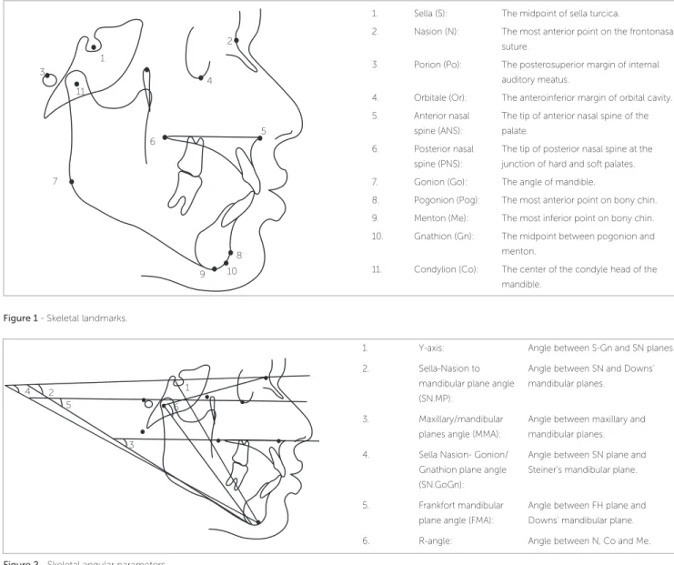 Figure 1 - Skeletal landmarks.