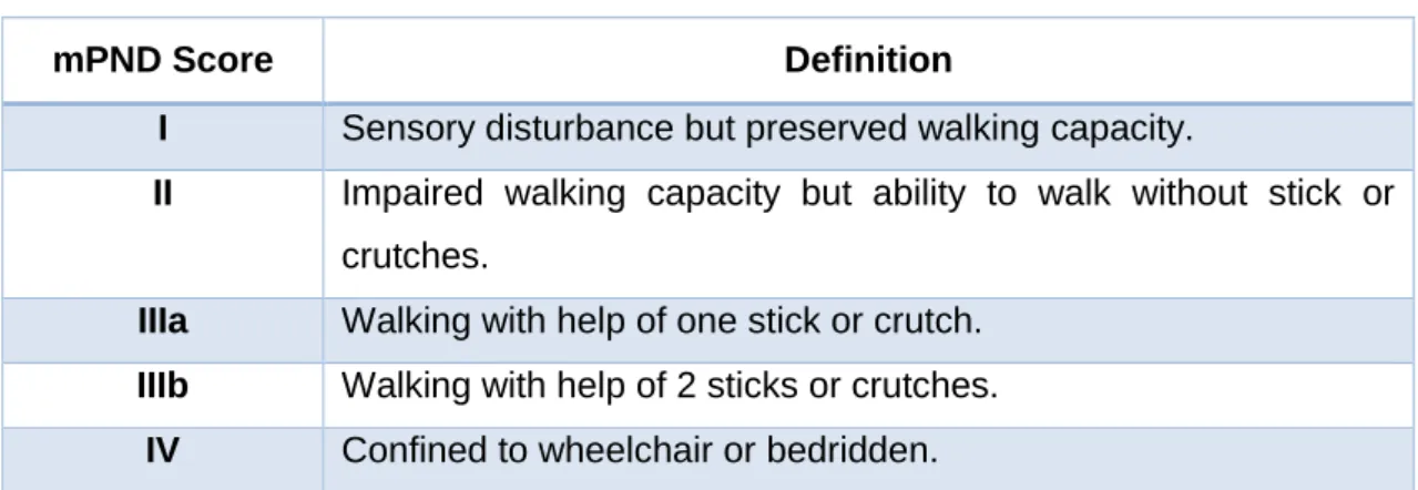 Table II: Modified polyneuropathy disability score (mPND score) (Adams et al., 2015). 