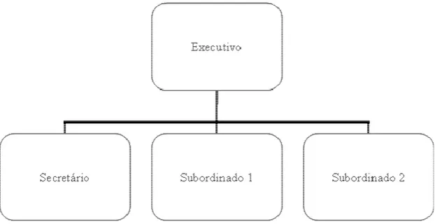 Figura 4: Relação hierárquica vertical de subordinação Secretário/Executivo 