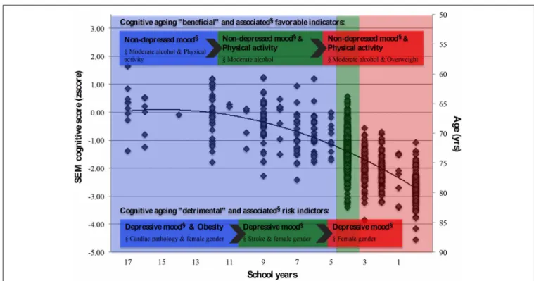 FIGURE 4 | Summary model for the latent cognition score (SEM) and associated structural and lifestyle, physical and clinical indicators