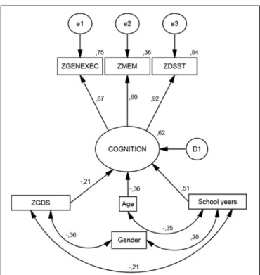 FIGURE 1 | Structural equation model. Standardized coefficients for the cognition measurement model and its predictors.