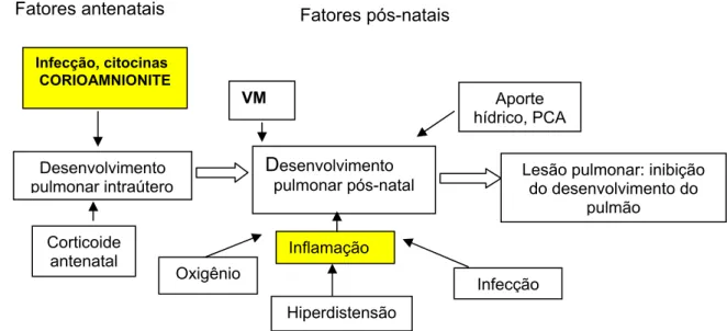 FIGURA 1 - Etiologia multifatorial da lesão pulmonar em recém-nascidos.  Fonte: Davis (2002)