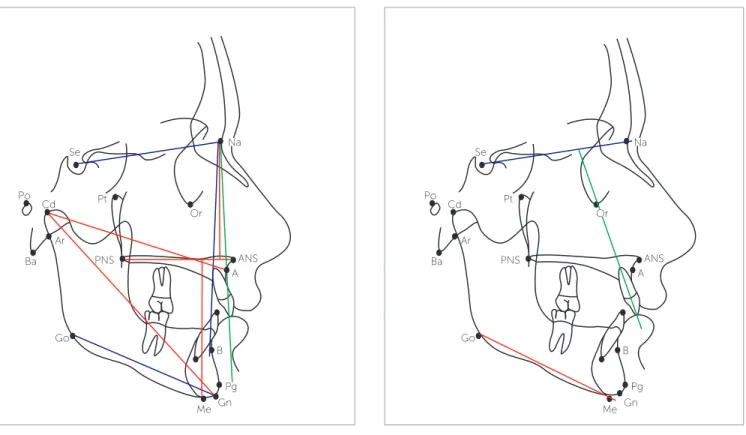 Figure 1 - Skeletal variables. 37