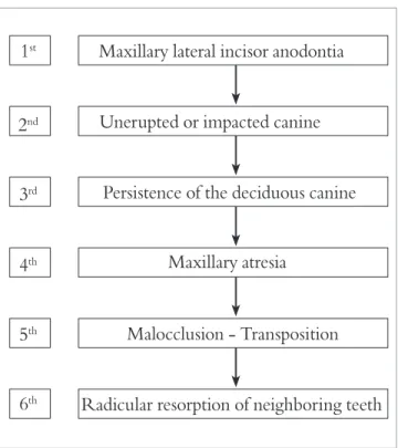 Figure 6 - Sequence of anomalies and changes that may be initially in- in-duced by anodontia of the lateral incisor, and can be labeled “Maxillary  Lat-eral Incisive Partial Anodontia Sequence.”