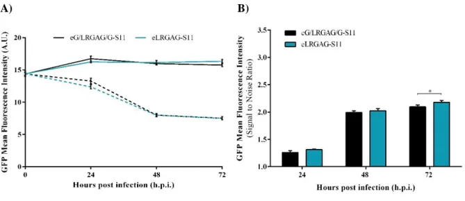Figure 4.7 - Characterization of HEK 293 cells stably expressing eS11 sensor. HEK 293 cells stably expressing two  different  eS11  backbones,  both  with  LRGA↓G  cleavable  sequence,  were  infected  with  AdV5  at  a  MOI  of  5