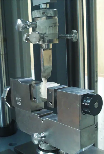 Figure 1  - A 0.6-mm metal blade was used to apply shear force to the com- com-posite interface.