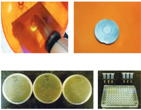 Figure 3  - Antibacterial properties of eluted com- com-ponents test.