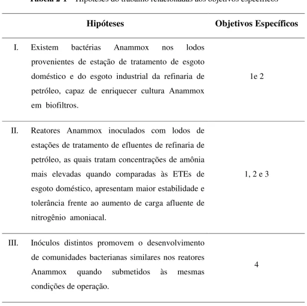 Tabela 2-1 – Hipóteses do trabalho relacionadas aos objetivos específicos 