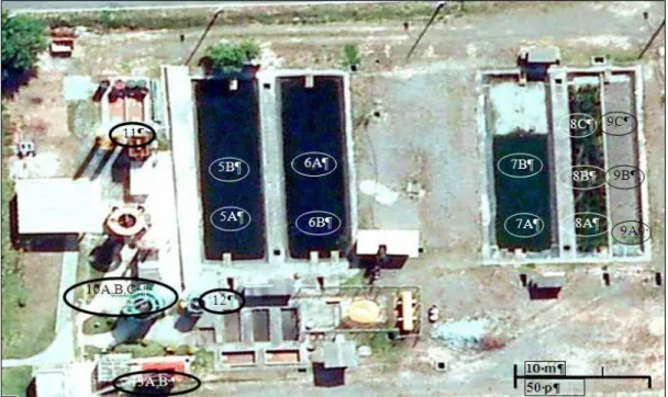 Figura 4.2 - Foto de satélite do CePTS com destaque para os sistemas escolhidos:  Lagoas  de Polimento (5, 6, e 7 ), Wetlands construídas (8 e 9) Reatores UASB 10, 11, 12, 13