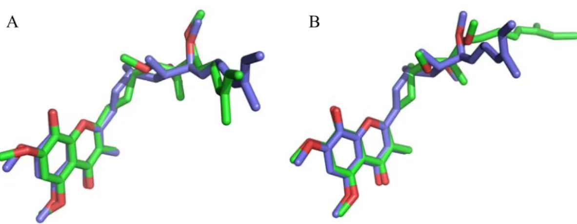Figure 2.5 Binding poses of stigmatellin. In blue the crystallized structure and in green the docking prediction: (A)  ChemScore; (B) GoldScore