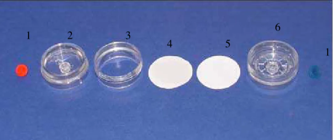 Figura 4.2 – Plugue; 02 – peça superior do porta-filtro; 03 – Anel central; 04 –  Filtro de membrana; 05 – Suporte de celulose do filtro; 06 – Peça inferior do 