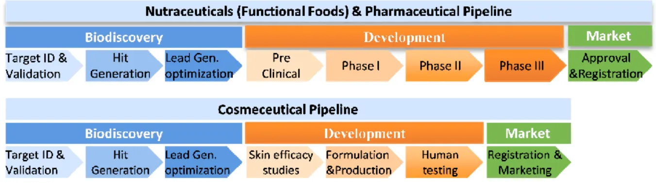 Figure 1.1 - Nutraceutical, pharmaceutical and cosmeceutical discovery and development process phases