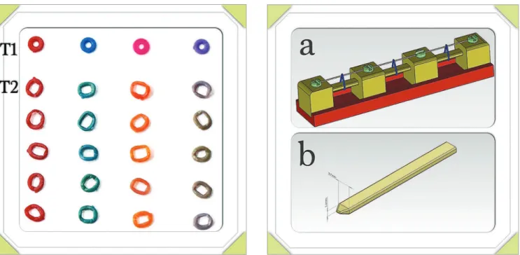 Figure 1 - Photographic evaluation of color changing of elastomers after in- in-traoral use (T1: not used elastomers, T2: inin-traoral used elastomers).