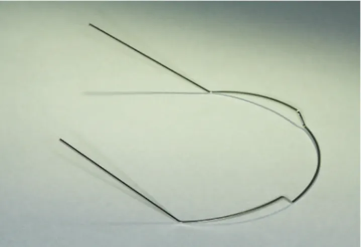 Figure 1 - Brackets previously fixed to a steel wire segment before being pas- pas-sively placed to teeth on the photoelastic model.