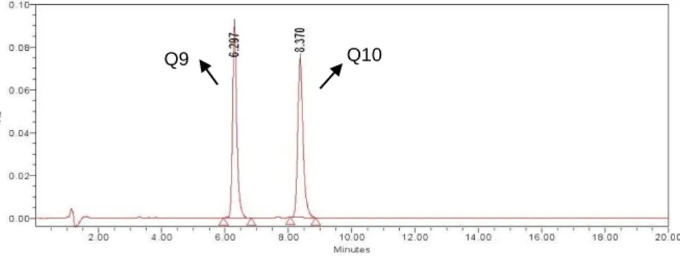 Figura 19 - Cromatograma da solução padrão das coenzimas. 