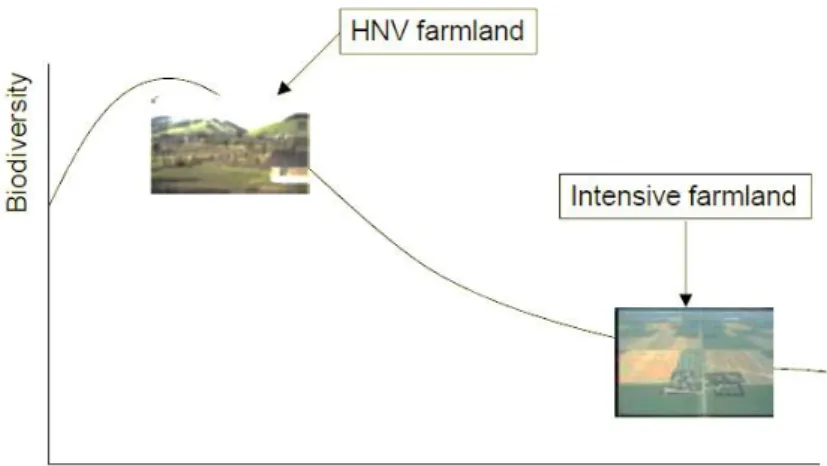 Figura 2.2.: Sistema agrícola extensivos: High Nature Value farmland  Fonte: EEA (2004:5)