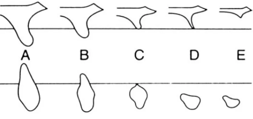 FIGURA 1: Esquema da classificação do osso quanto ao  volume de acordo com  LEKHOLM &amp; ZARB (1985) 