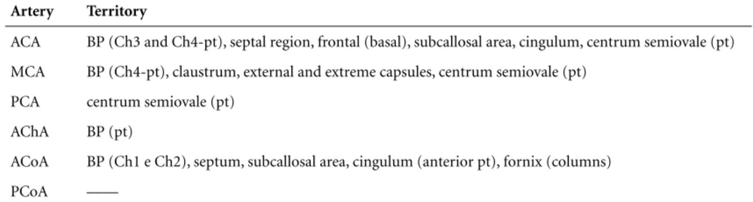 Figure 2. Coronal schema of the brain – the cholinergic path- path-ways (left side) (medial path=black-interrupted; lateral path=