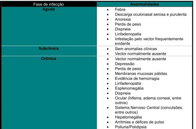 Tabela 1: Anormalidades clínicas associadas a infecção por E. canis em cães. Adaptado de Nelson &amp; Couto  2009