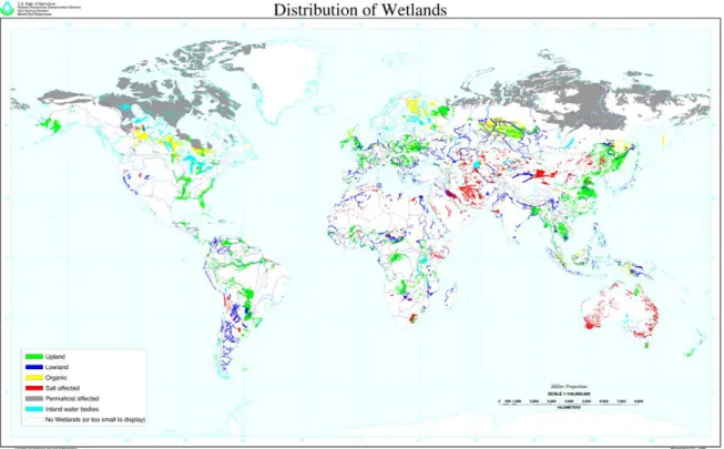 Figura 1 – Distribuição das zonas húmidas no mundo. Fonte: Natural Resources Conservation Service (2013)