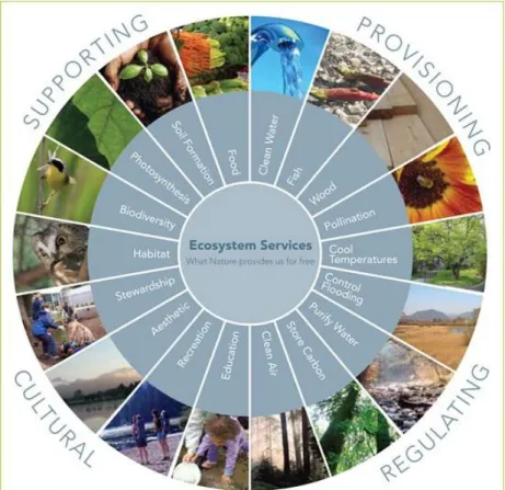 Figura  2  –  Gráfico  representativo  dos  serviços  de  ecossistemas  que  a  natureza  nos  oferece