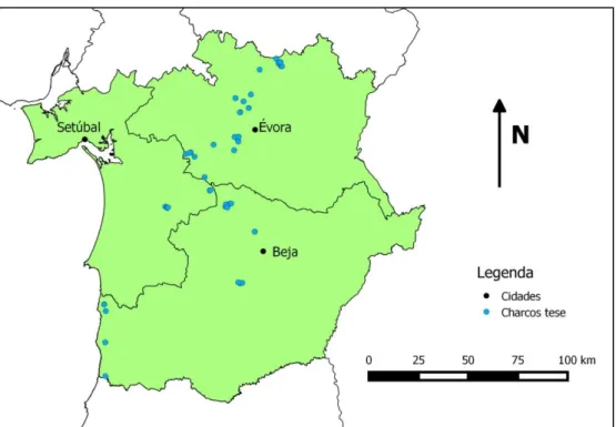 Figura 6 – Área de estudo com os CTM abrangidos nesta tese. 